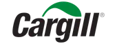 Logo 13